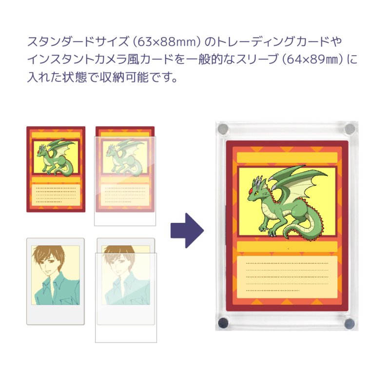 画像5:  [9%OFF]  The Case PRO(スタンダードサイズ)[マイルストン] 【ポイント還元率1%】 (5)