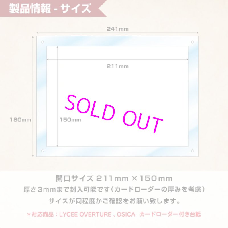 画像3:  [3%OFF]  Limited-Model Mount[with:D] 【ポイント還元率1%】 (3)