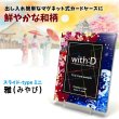 画像2:  [3%OFF]  ネオジム・スライド-type ミニ 雅 T-stand付[with:D] 【ポイント還元率1%】 (2)
