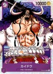 画像1: ONE PIECE カードゲーム スタートデッキ ST-04 SR カイドウ[ストレージ品] (1)