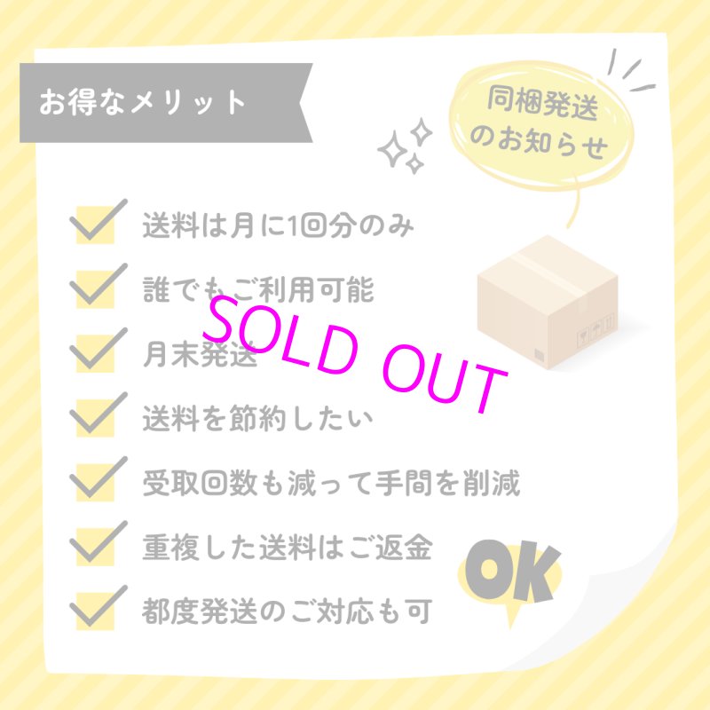 画像3: ポケモンカードゲーム デッキケース レシラム 【ポイント還元率1%】  (3)