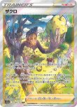 画像1: SAR ザクロ[ランクA] (1)